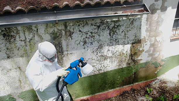Top rated local Mold Remediation specialists in Troutdale, OR